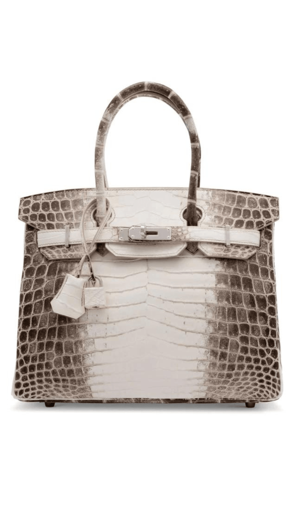 Hermes Blanc Himalayan Himalaya Crocodile Birkin 30 Handbag Bag